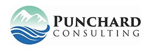 Punchard Consulting