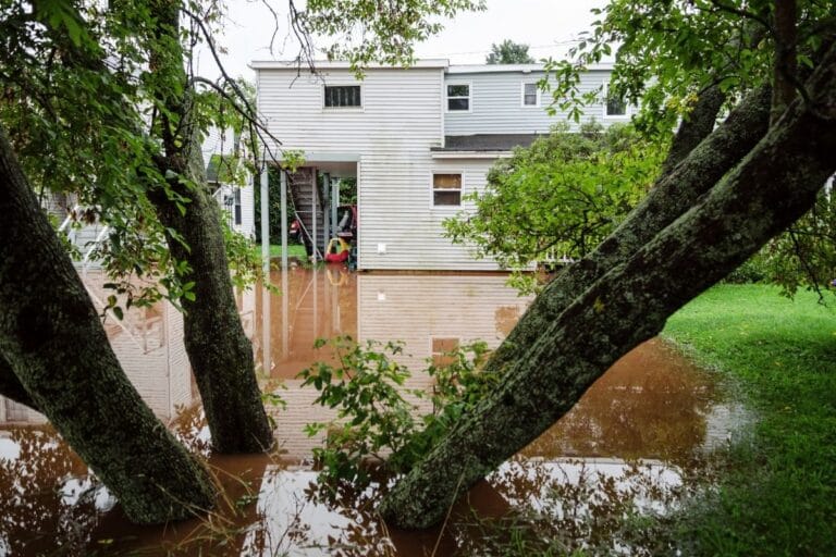 FEMA Announces First Round of Selected Hazard Mitigation Projects