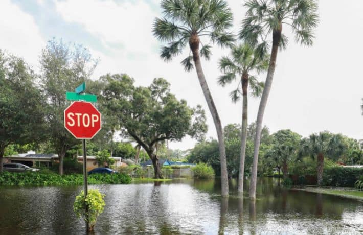 Flood waters halfway up a stop sign with palm trees and homes in the background